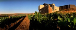 Durbanville Hills wine club